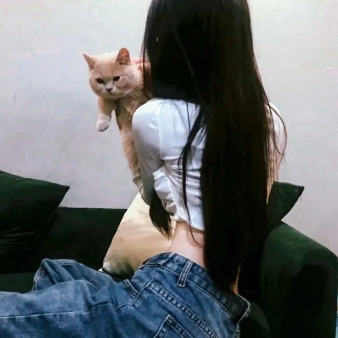 金鼠王